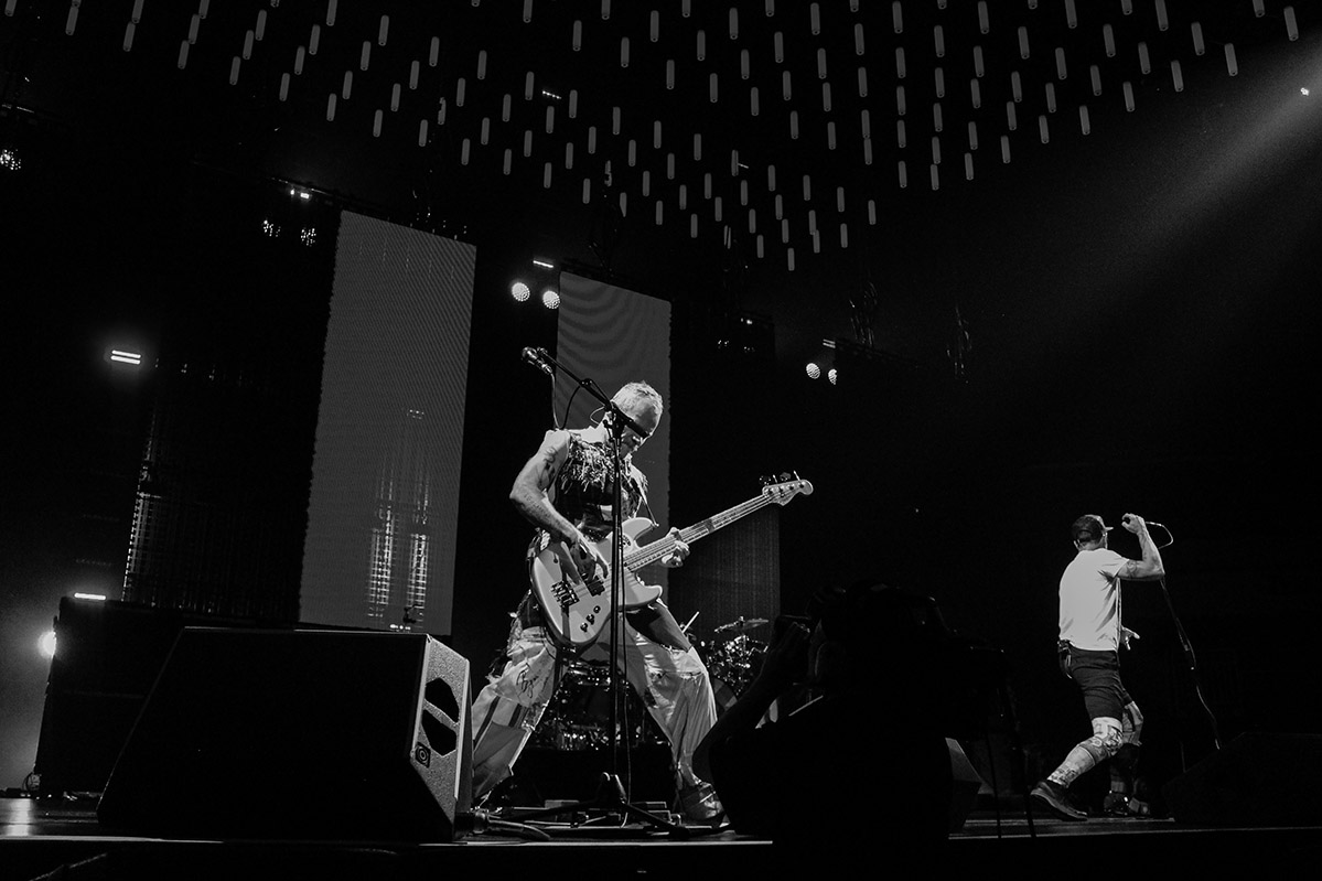 Flea tocando el bajo